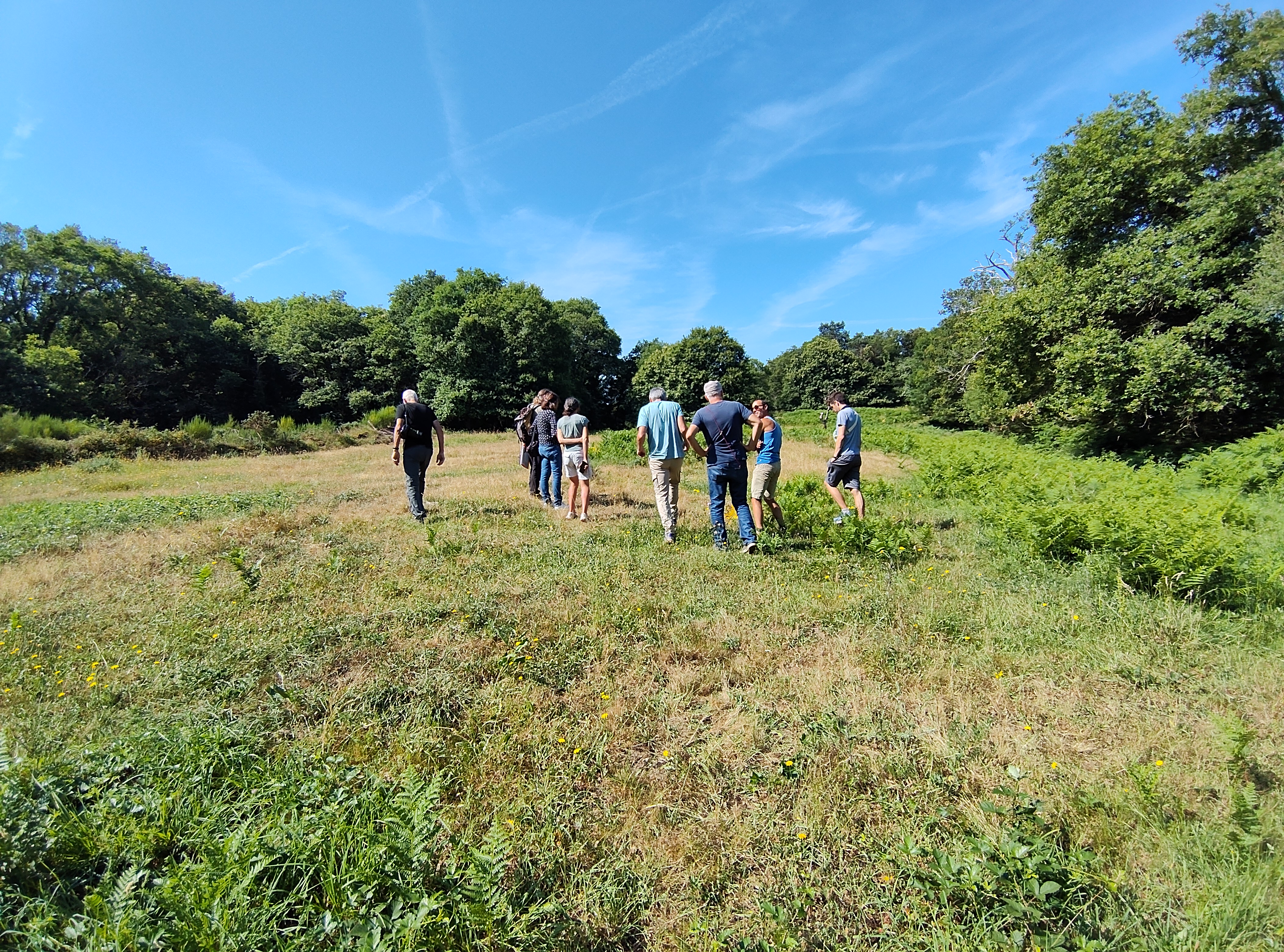 La biodiversit&eacute; en milieu agricole - vue d'ensemble